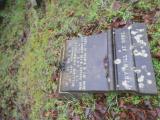 image of grave number 683017